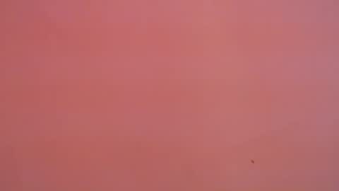 FREYJA LOREN online show from 16, 1, 2025