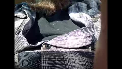 Snapshot of frickish chatting on 21, 1, 2025 Frickish online show from 21, 1, 2025