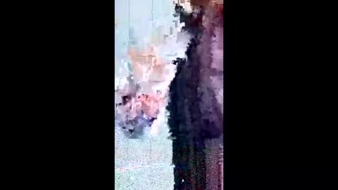 friendshipplus online show from 3, 2, 2026