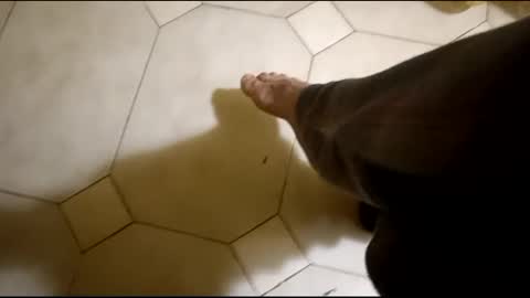 Hornycouple1386 online show from 16, 2, 2025