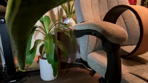 Snapshot of fuklicious chatting on 19, 1, 2025 fuklicious online show from 19, 1, 2025