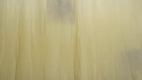 Fun4Tips online show from 15, 2, 2025