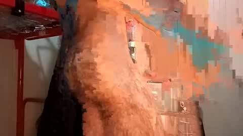 Italian men online show from 2, 2, 2025