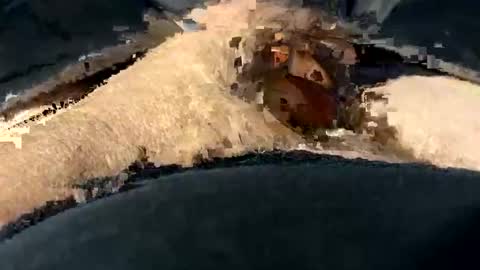 Snapshot of funtime741 chatting on 10, 12, 2024 funtime741 online show from 10, 12, 2024