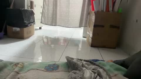 gab021593 online show from 14, 1, 2026