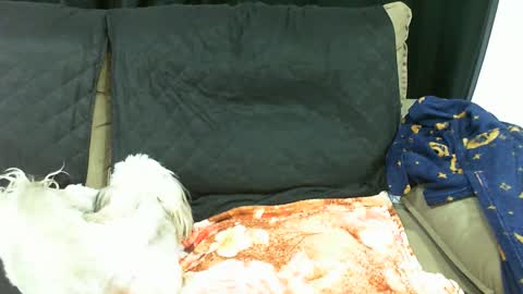 gaby  layla online show from 13, 1, 2025