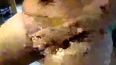 Stutzen online show from 17, 9, 2025