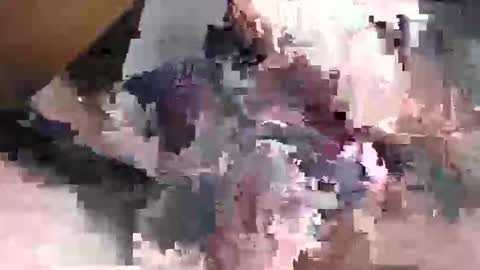 Gansozo online show from 23, 11, 2025