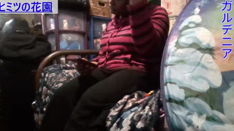 Gardenia online show from 10, 1, 2025