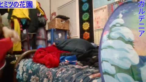 Gardenia online show from 24, 1, 2025