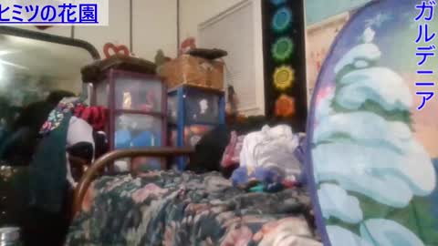 Gardenia online show from 31, 1, 2025