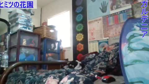 Gardenia online show from 26, 2, 2025