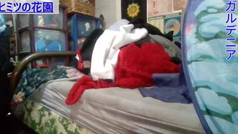 Gardenia online show from 1, 3, 2025