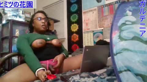 Gardenia online show from 8, 3, 2025