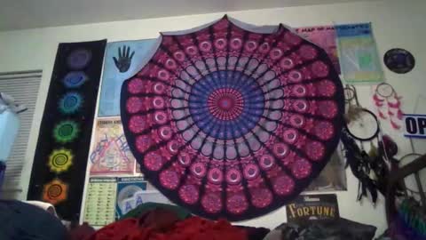 Gardenia online show from 20, 3, 2026