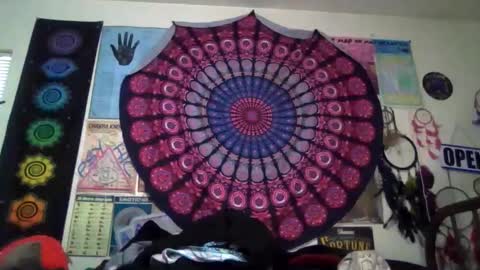 Gardenia online show from 5, 4, 2026