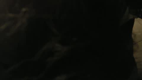 Snapshot of gary_in_maryland chatting on 9, 1, 2025 Gary online show from 9, 1, 2025