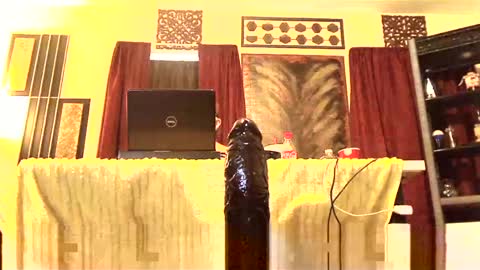 gatewaylaptop2019 online show from 2, 3, 2025