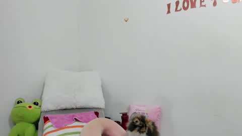 Mfe online show from 2, 11, 2025