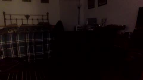 Snapshot of geetarluvver chatting on 8, 3, 2025 geetarluvver online show from 8, 3, 2025