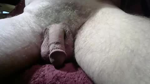 Snapshot of gemini_2 chatting on 3, 3, 2026 gemini_2 online show from 3, 3, 2026