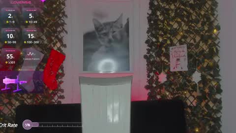 Geminis online show from 21, 1, 2025