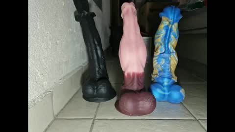 generalerectional online show from 10, 11, 2025