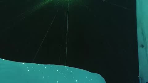 genitalwars online show from 19, 12, 2025