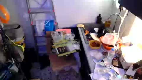 georgempt online show from 18, 1, 2025