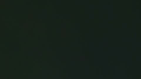 Georgina online show from 3, 2, 2026