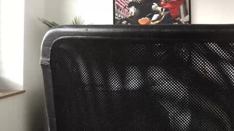 german3003 online show from 28, 10, 2025