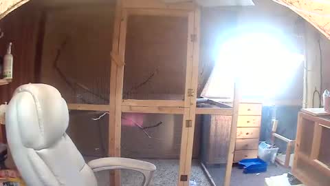 germany_50 online show from 20, 9, 2025