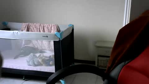 Snapshot of gh1952ma chatting on 24, 2, 2025 Gisse online show from 24, 2, 2025