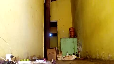 Gaby online show from 14, 11, 2025