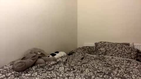 ghostpetal online show from 12, 10, 2025