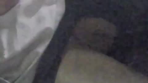 lovegirlscallme online show from 9, 9, 2025