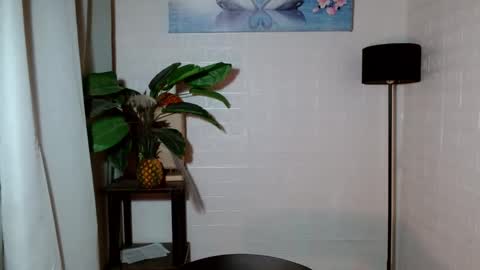 Snapshot of girlwhobelieveinmagic chatting on 28, 1, 2025 Callmenor online show from 28, 1, 2025