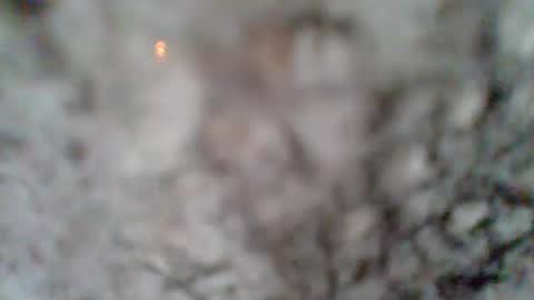 Snapshot of givr6inches chatting on 7, 3, 2025 e-Bizl online show from 7, 3, 2025