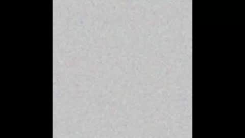 Terri online show from 10, 1, 2025