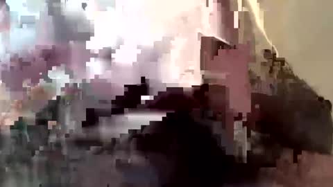 gmenocal21 online show from 27, 2, 2025