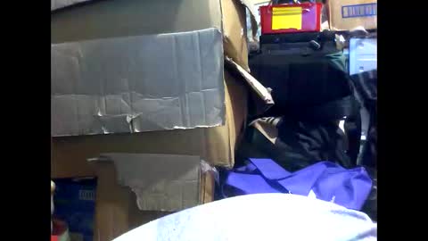 PencilDick online show from 7, 2, 2025