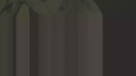 gnz310388 online show from 12, 2, 2026