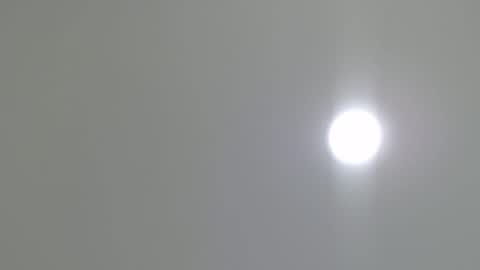 goath_08 online show from 7, 2, 2025