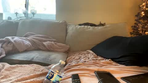 GoddessMayvn online show from 29, 12, 2024