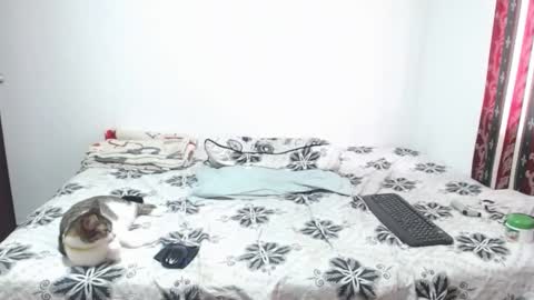 Snapshot of gold_shooter chatting on 12, 3, 2026 gold_shooter online show from 12, 3, 2026