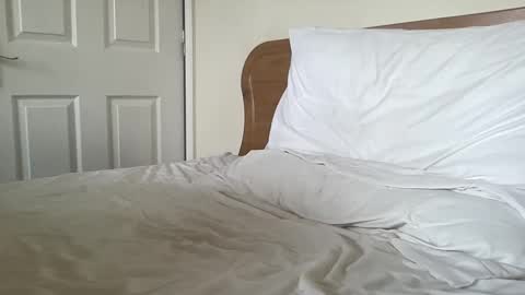 Snapshot of gotenks93 chatting on 4, 3, 2025 Dillan Diamonds online show from 4, 3, 2025