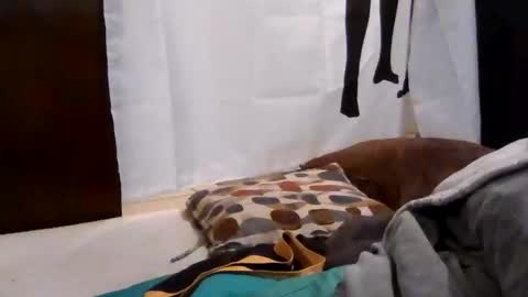 Get US to 1000 you wont be disapointed online show from 18, 12, 2025