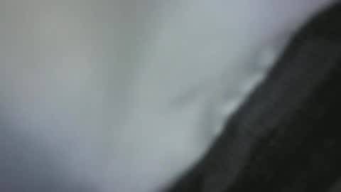 Green Robin Hood online show from 2, 12, 2024