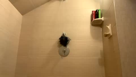 Perfectlyaveragesavage online show from 31, 12, 2024