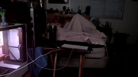 Snapshot of guitarsexgod chatting on 22, 2, 2026 Mario online show from 22, 2, 2026